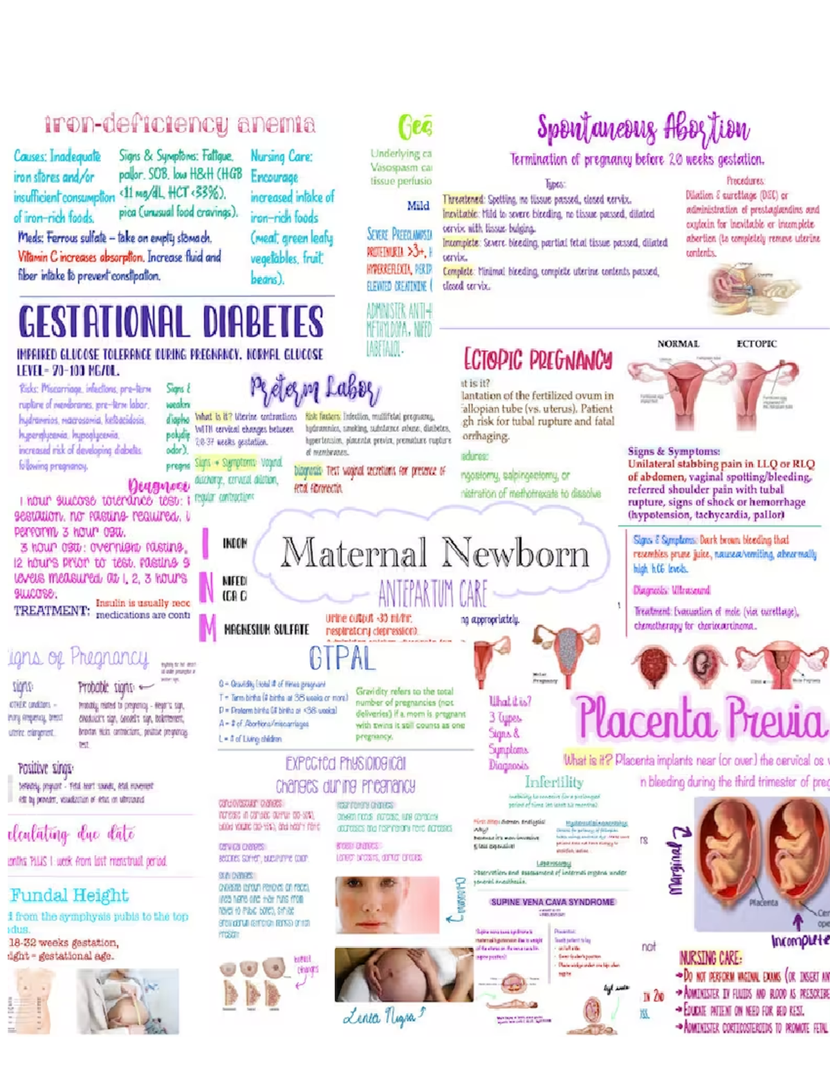 OB/GYN Study Guide - NURS 361 - Studocu