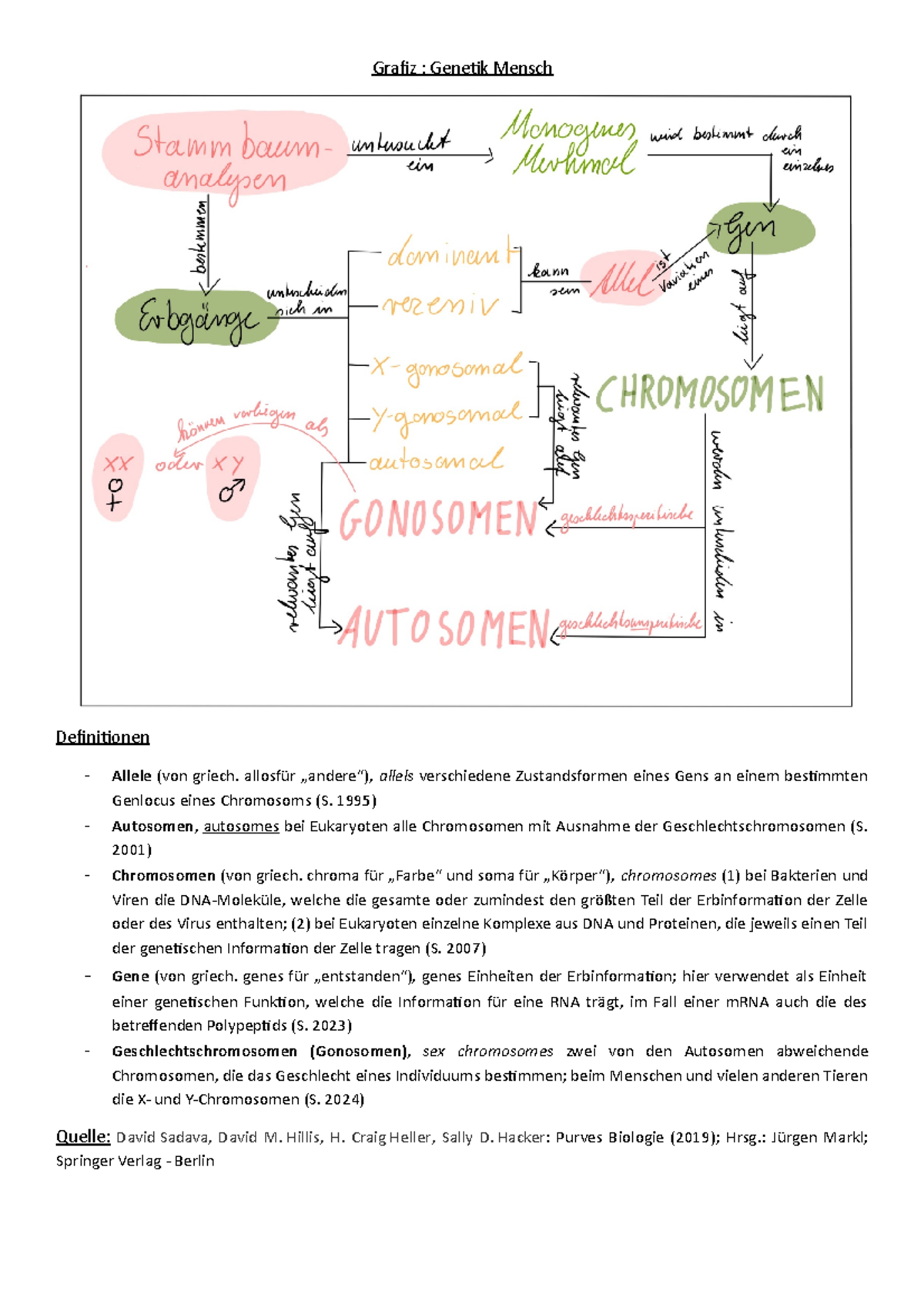 Grafiz Genetik Mensch - Oberstufenbiologie I - CAU - Studocu