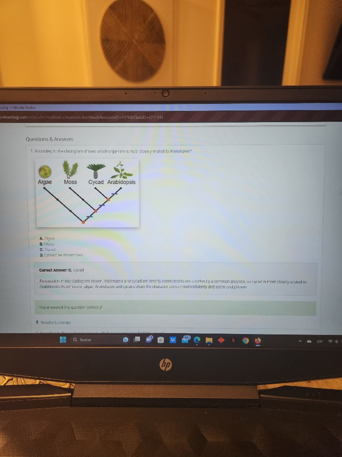Cladograms Gizmo Answer Key