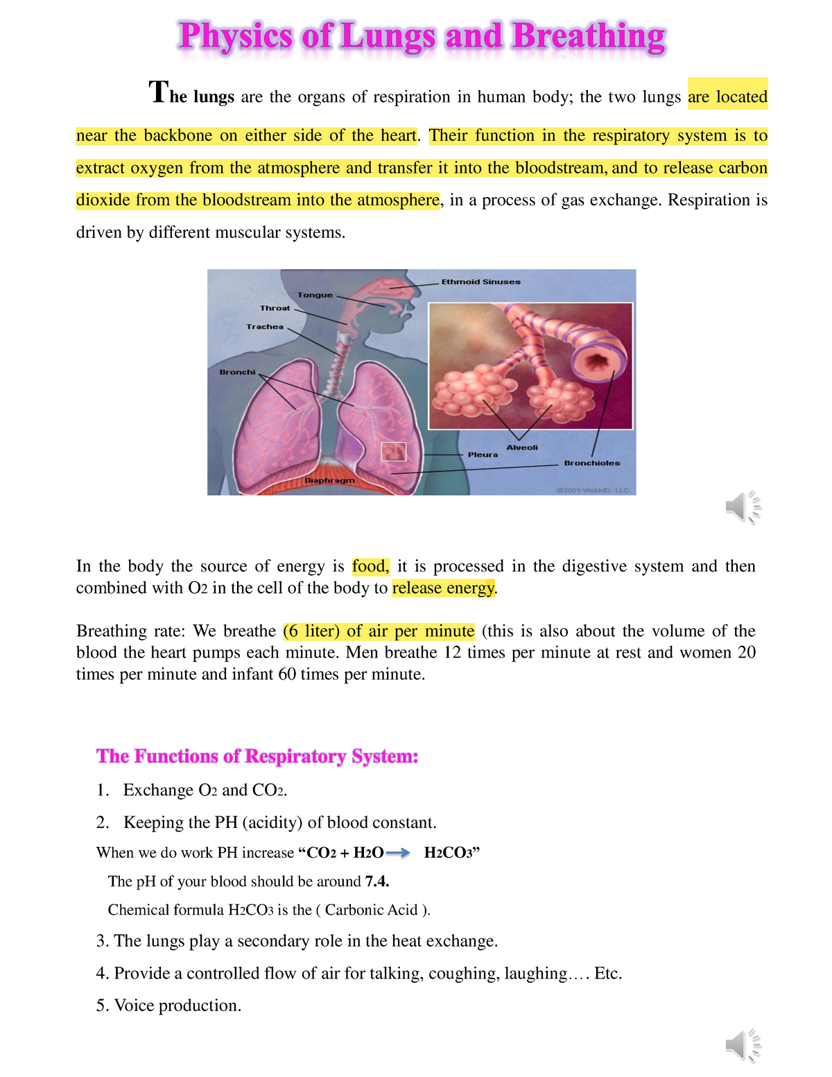 Physics Of Lungs And Breathing The Lungs Are The Organs Of Respiration In Human Body The Two 