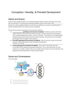 PFE Development - practice essay - Development begins at the time of ...