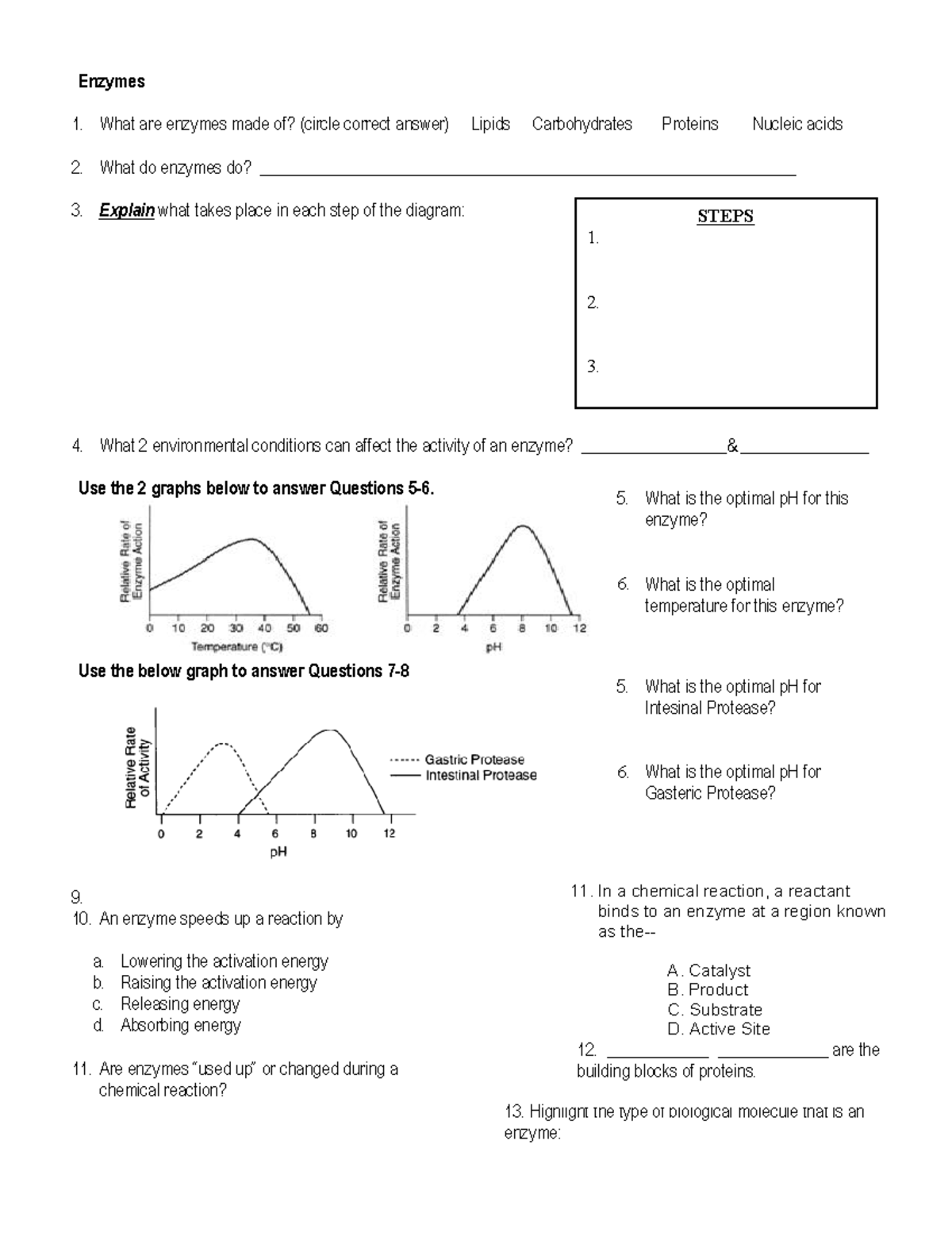 Enzymes review wksht awgawfnawnm Enzymes 1. What are enzymes made