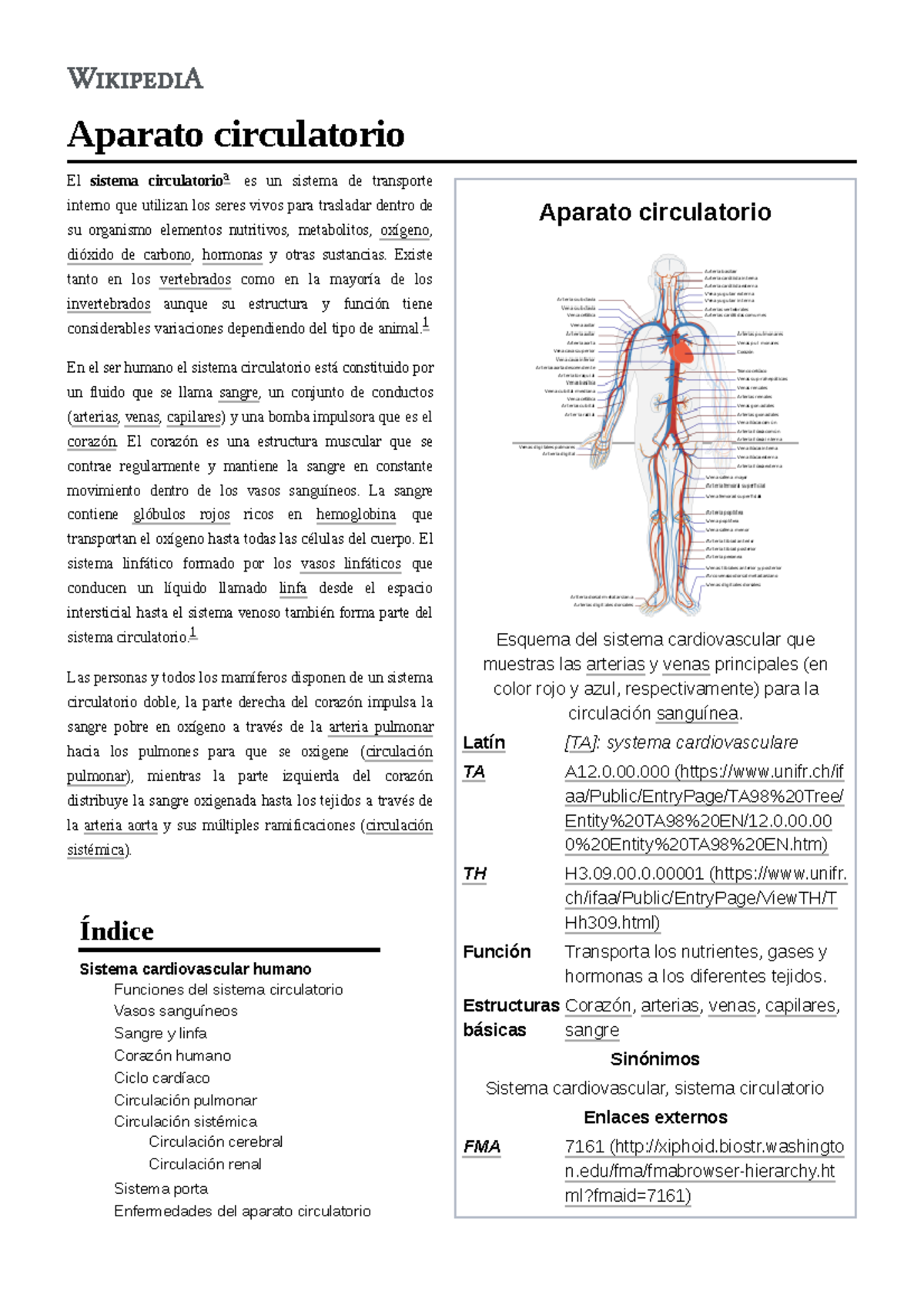 U1 Pp 12 Sistema Circulatorio Aparato Circulatorio Esquema Del