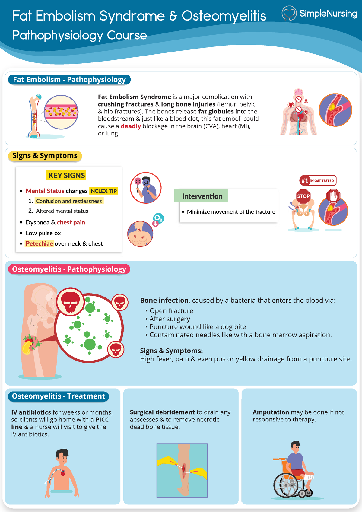 Patho - Musculoskeletal - Fractures - Fat Embolism Syndrome 