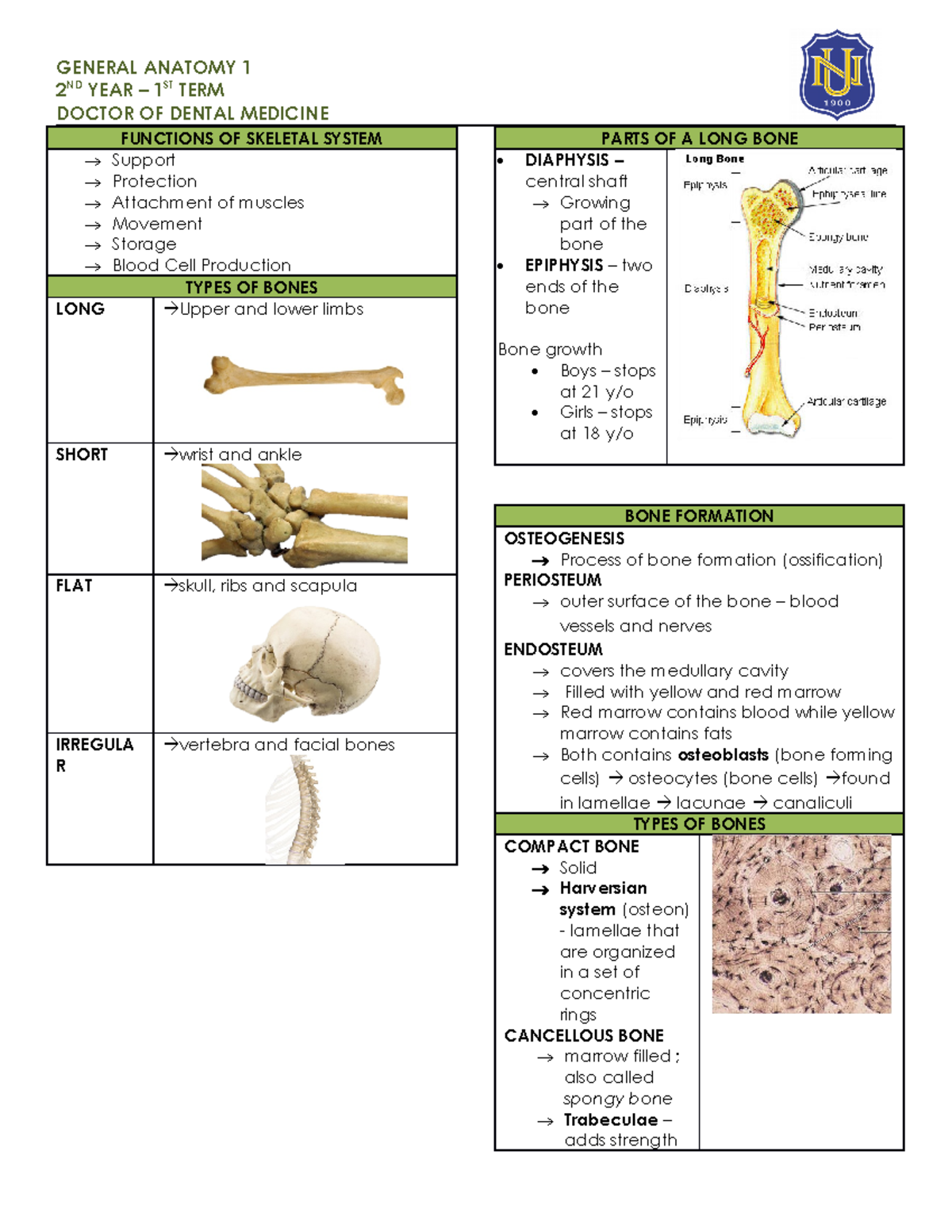 Lesson 2 - Skeletal System - 2 ND YEAR – 1ST TERM DOCTOR OF DENTAL ...