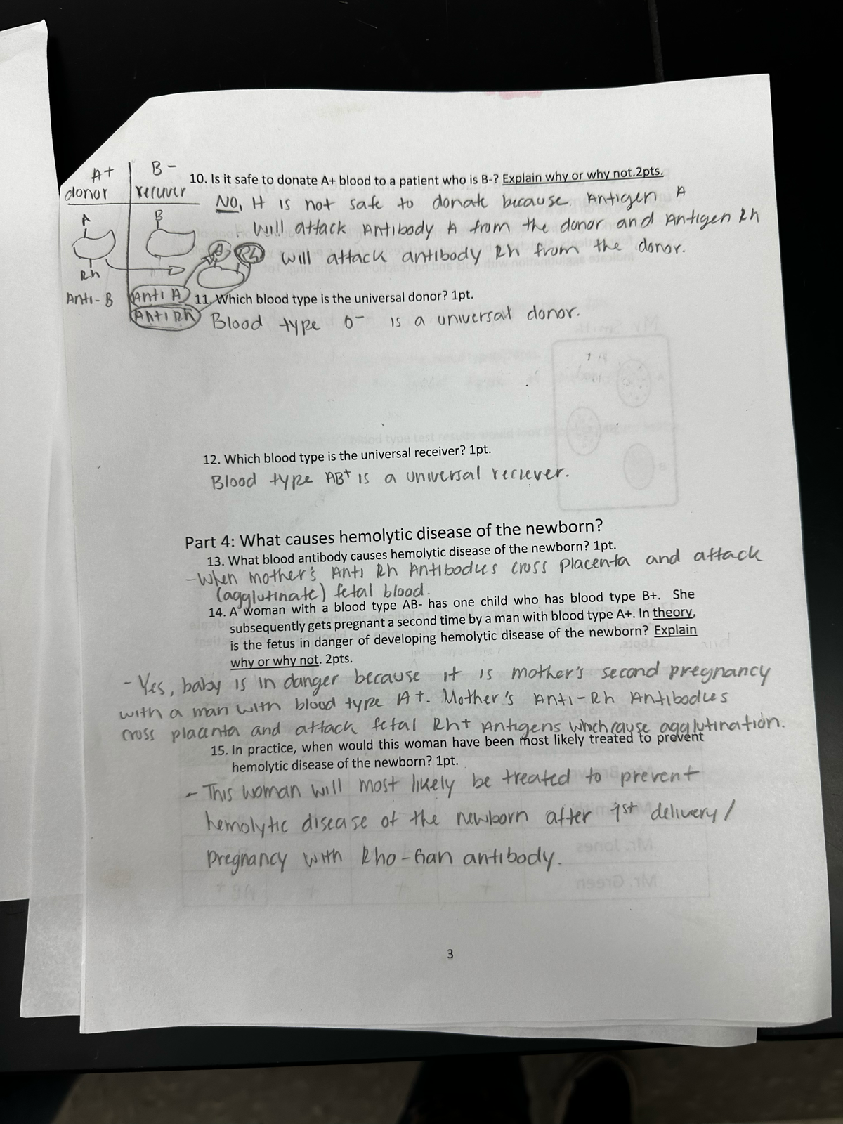 11 - Classwork - BIO115A - Studocu