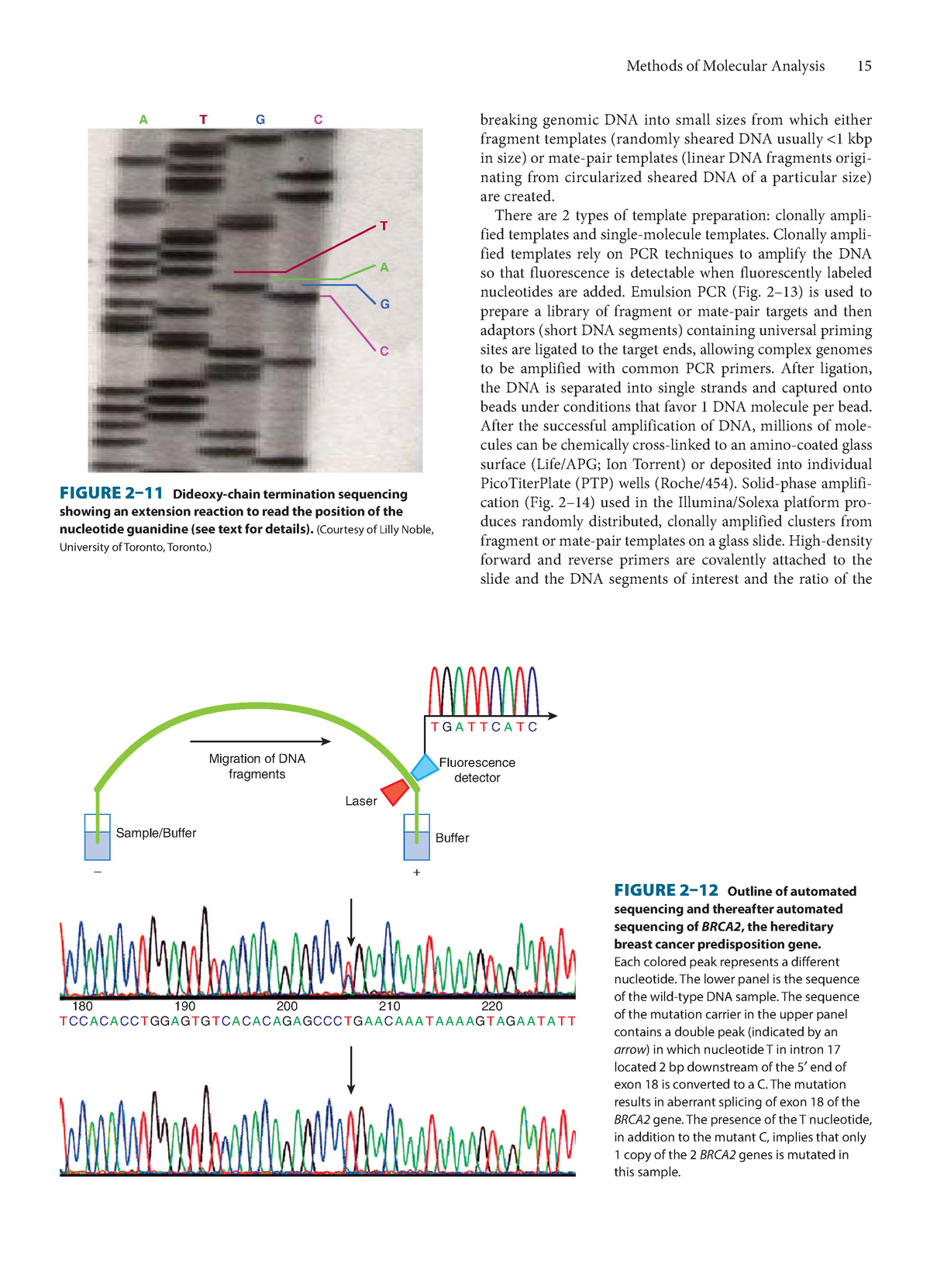 Basic Science Of Oncology 5th-10 - Methods Of Molecular Analysis 15 ...