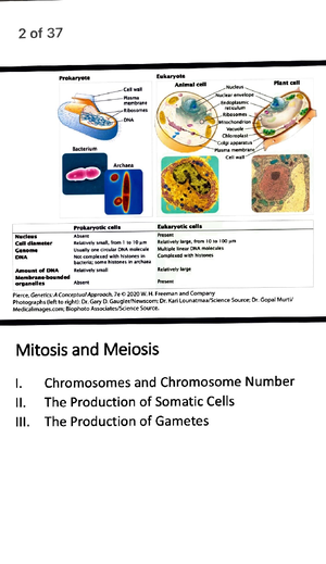 Study Guide For The Genetics Unit With Answers Attached - Study Guide ...