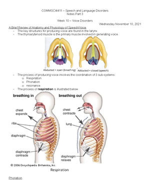 Adapted IPA Chart Consonants - Adapted IPA Chart (Anthro 1027 ...