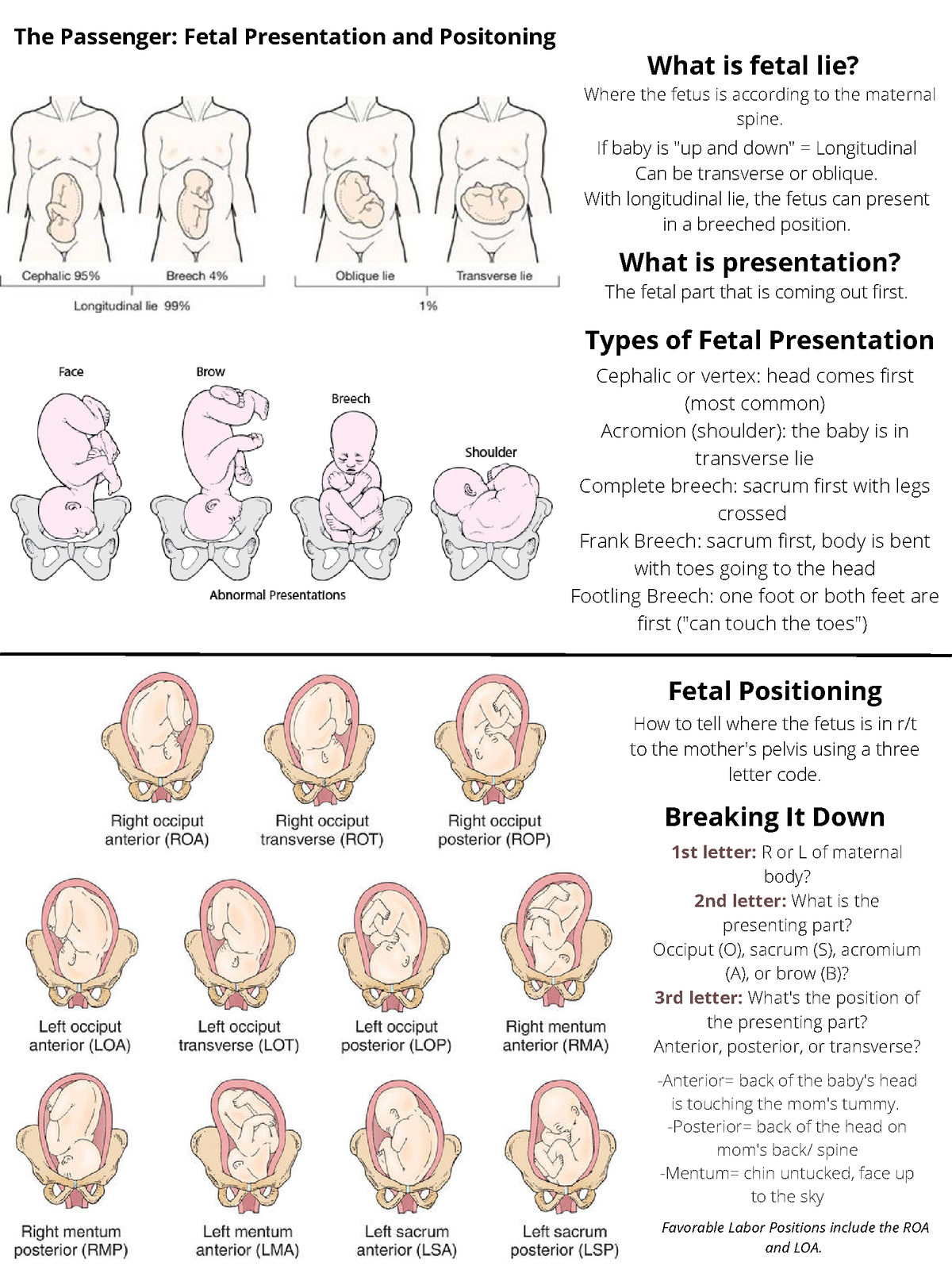 presentation of fetus types