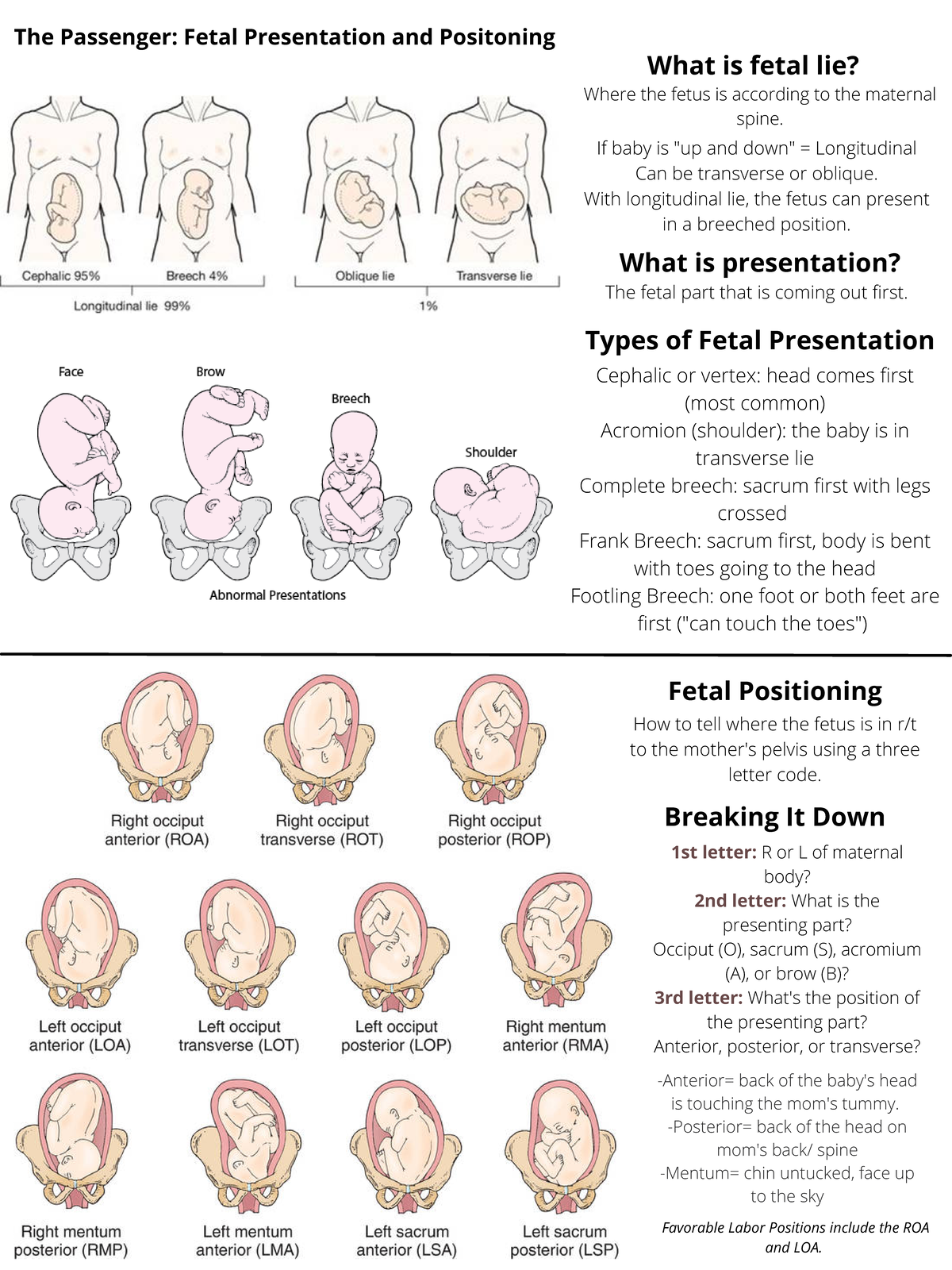 obsetrics-110-fetal-presentation-presenting-part-position-42-off