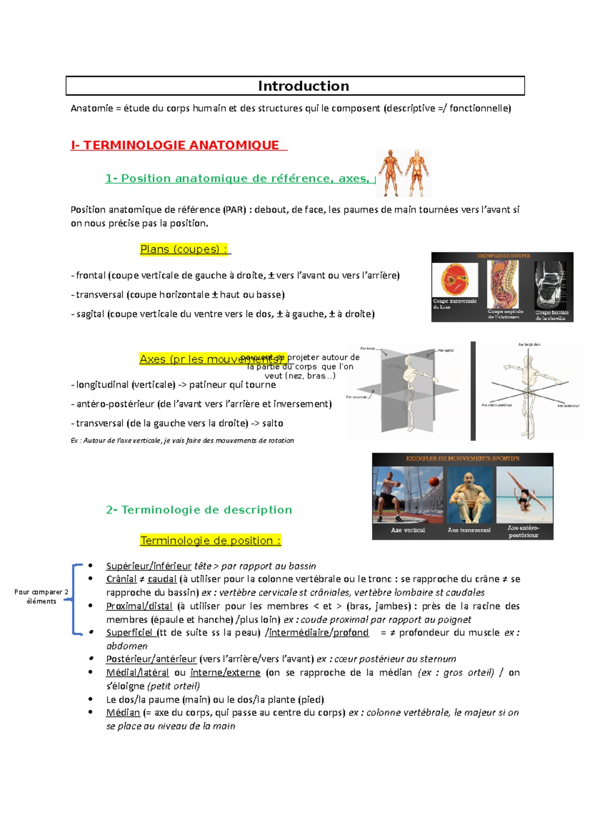 1 Introduction Anatomie - Introduction Anatomie = étude Du Corps Humain ...