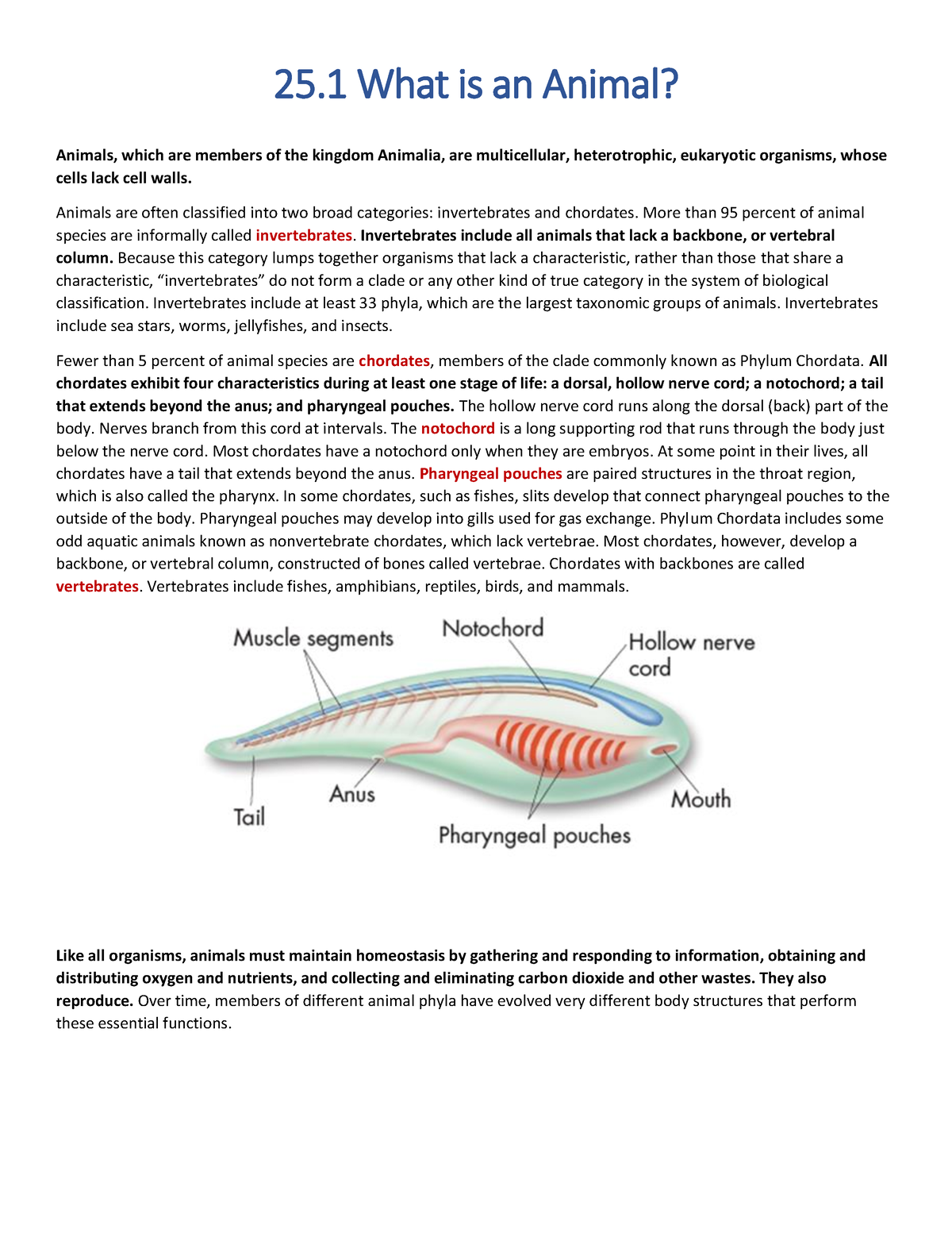 Chapter 25 Summary - 25 What Is An Animal? Animals, Which Are Members ...