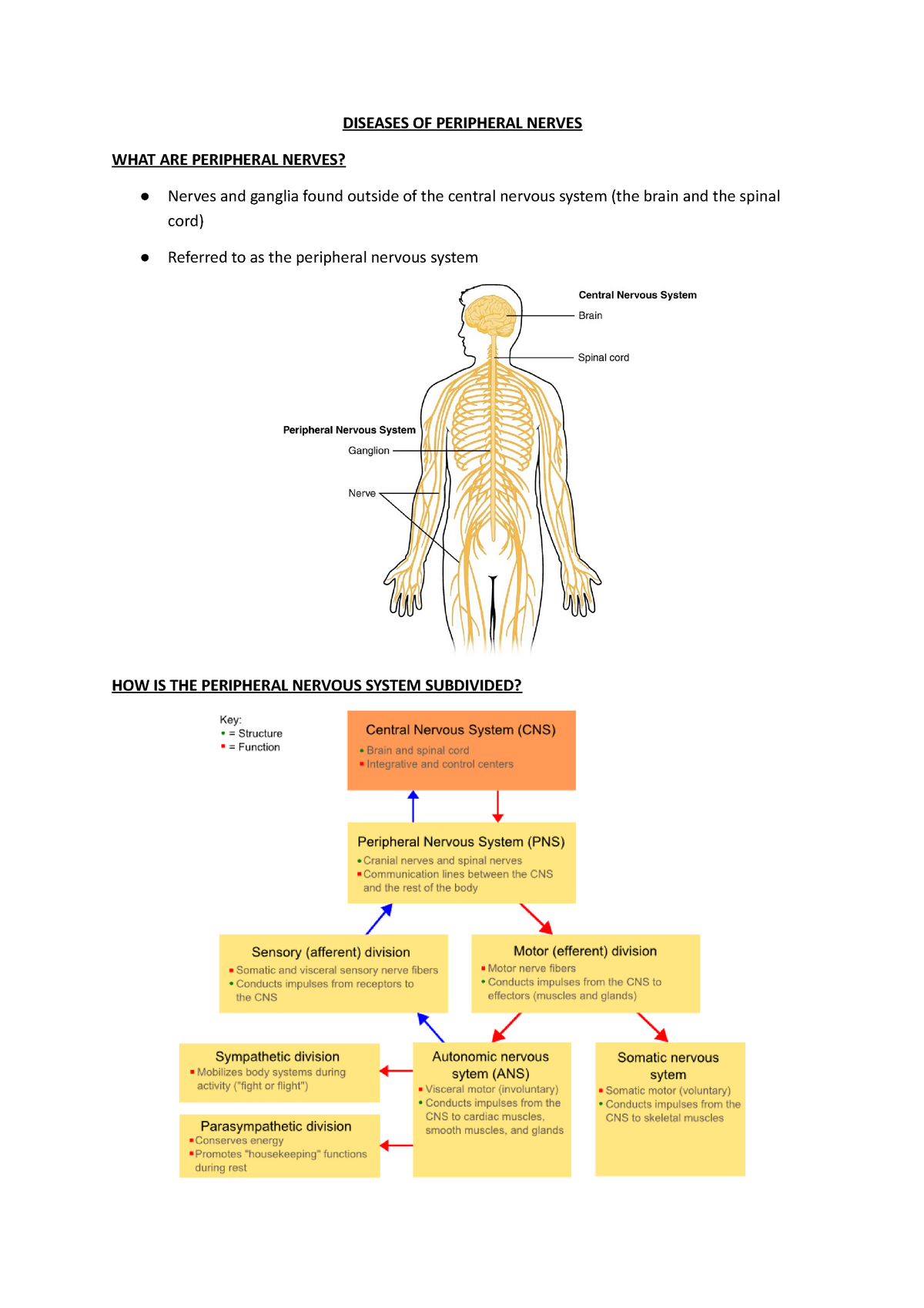 Diseases OF Peripheral Nerves DISEASES OF PERIPHERAL NERVES WHAT ARE