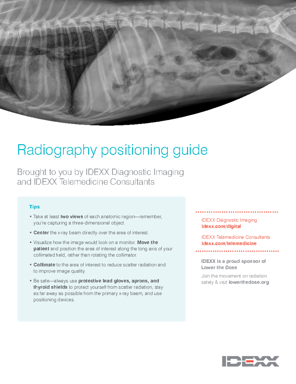 Radiography Positioning Guide Radiography positioning guide Brought
