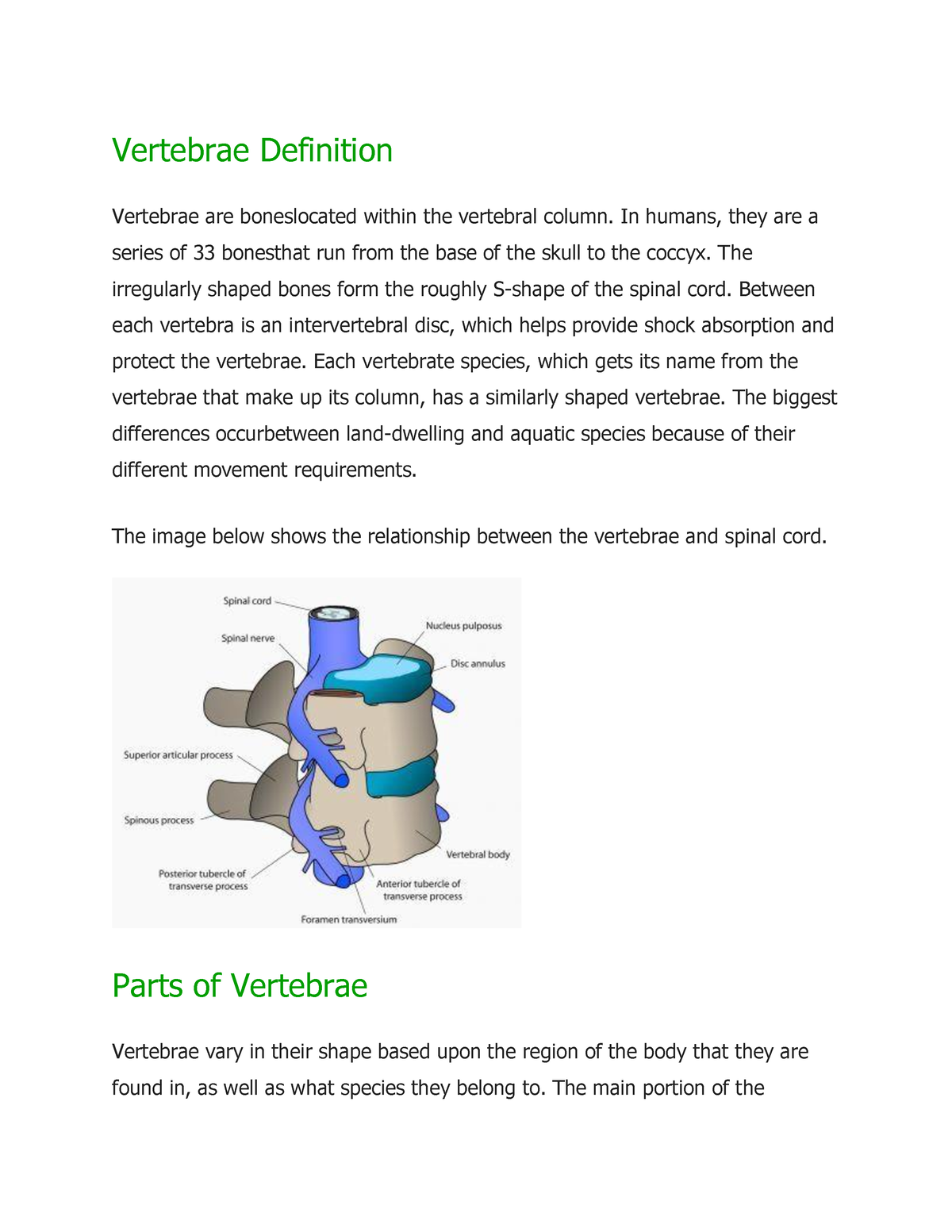 Vertebrae Definition - Vertebrae Definition Vertebrae are boneslocated