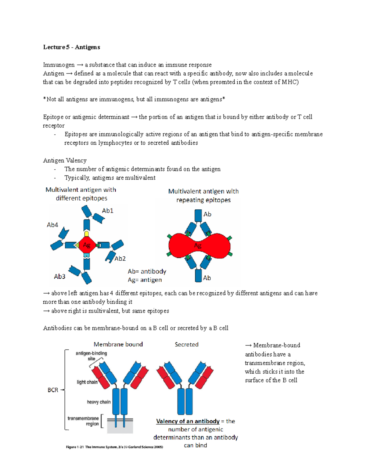 Microbiology 360 Lecture 5 Lecture 5 Antigens Immunogen → a