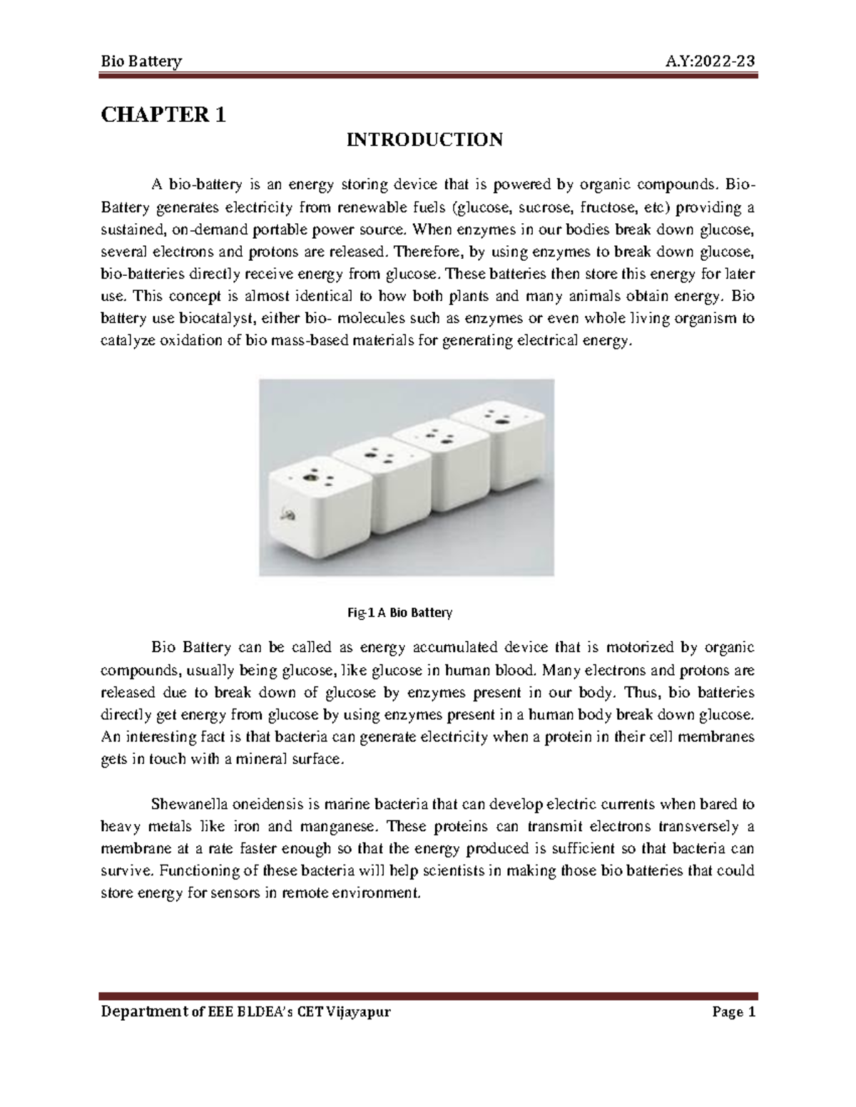 ieee research paper on bio battery