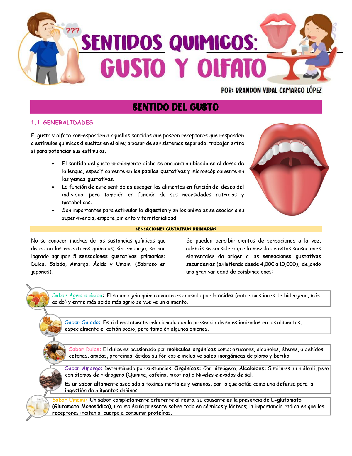 Sentidos Químicos Gusto Y Olfato Sentido Del Gusto 1 Generalidades El Gusto Y Olfato 0449