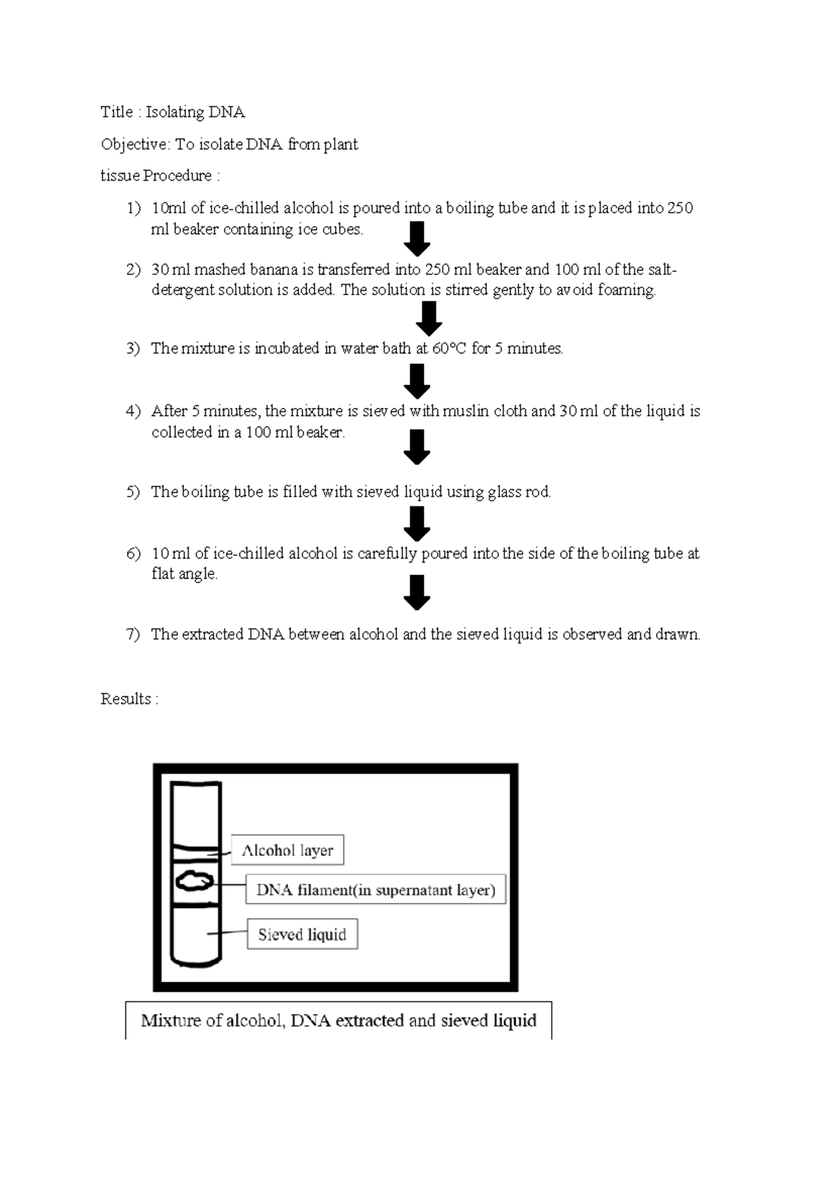 Practical Title Isolating DNA Objective To isolate DNA from plant