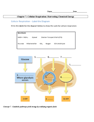 Enzyme design to make a drug - DOI: 10/science. Science 329 , 305 (2010 ...