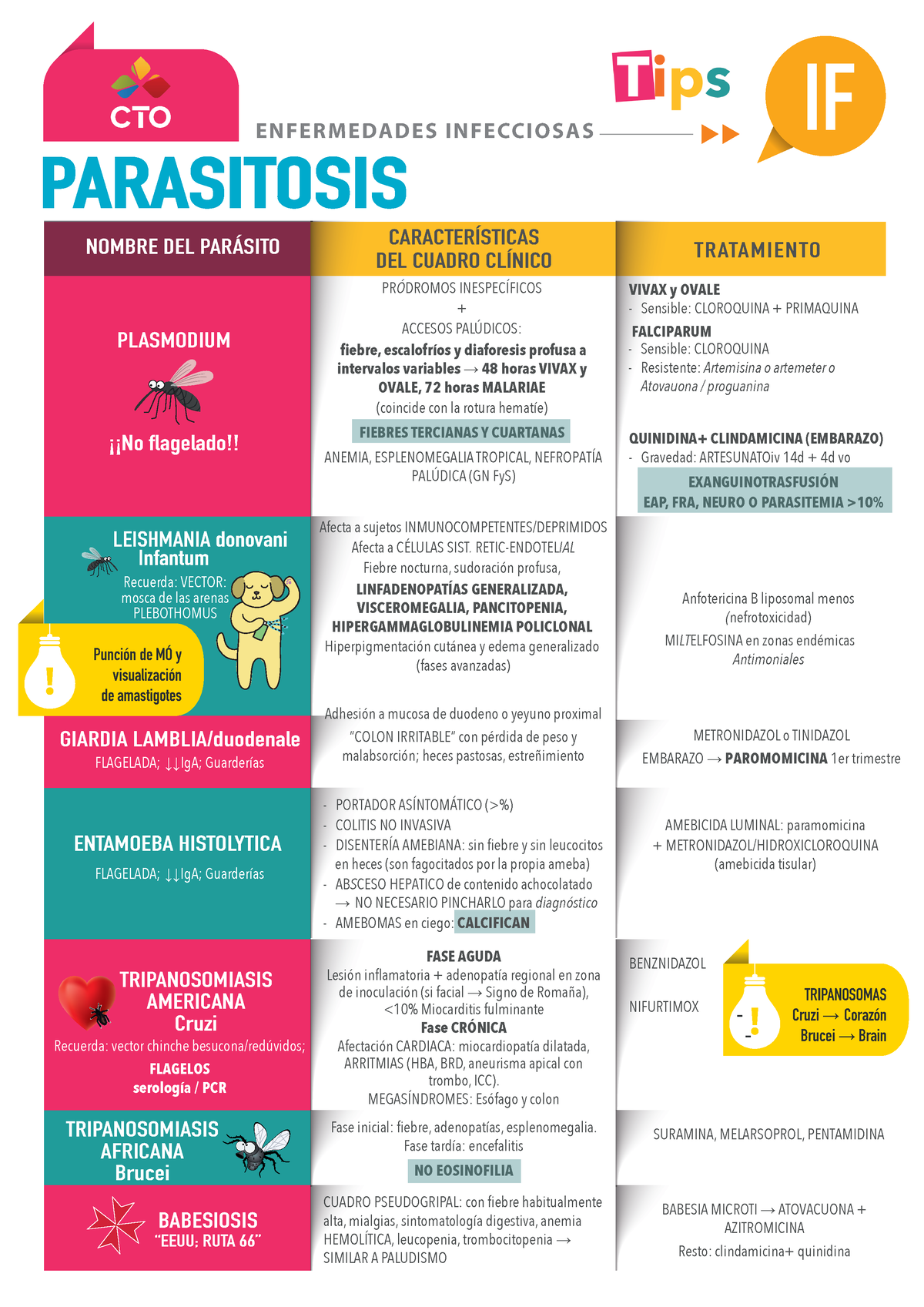 Parasitosis Resumen PARASITOSIS ENFERMEDADES INFECCIOSAS IF NOMBRE DEL PARÁSITO PRÓDROMOS