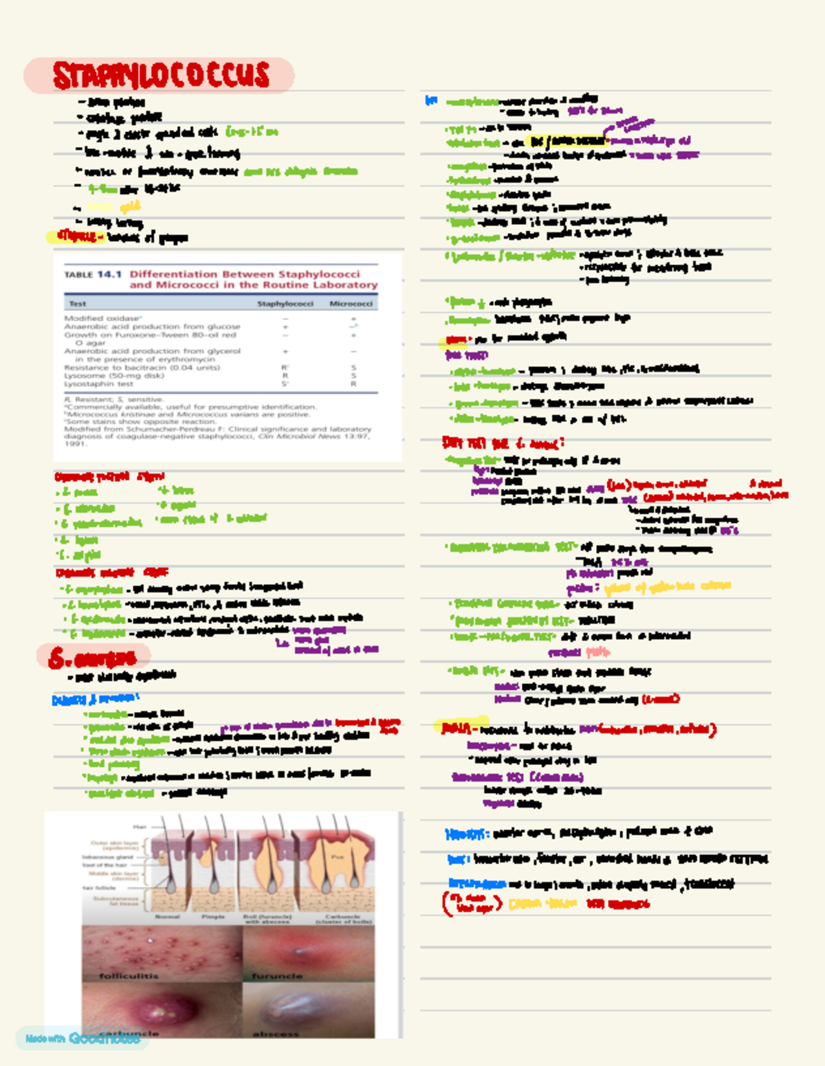 Staphylococcus and streptococcus - STAPHYLOCOCCUS UF : enterotoxins ...