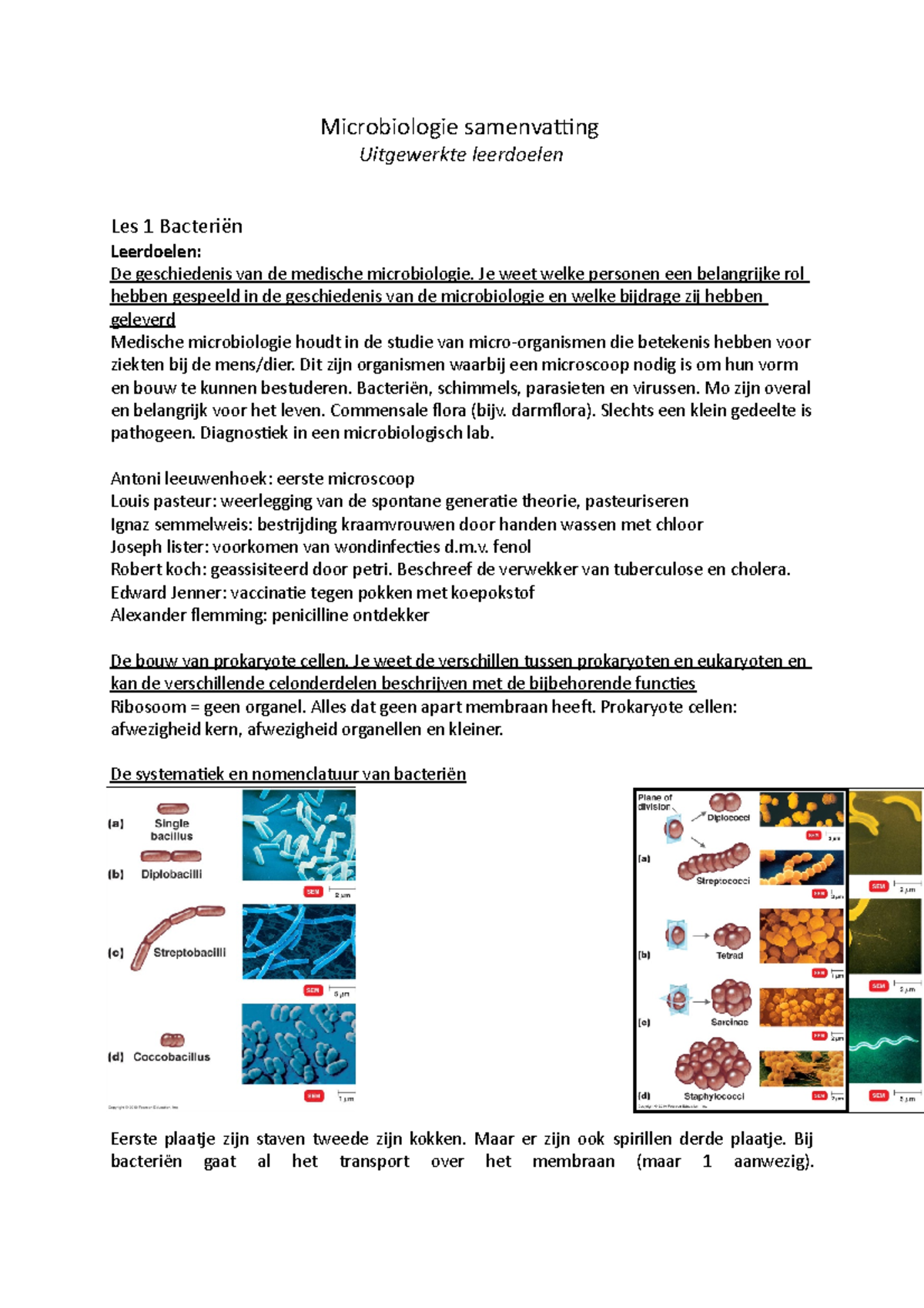 Microbiologie Samenvatting - Microbiologie 1 Geschiedenis Van De ...