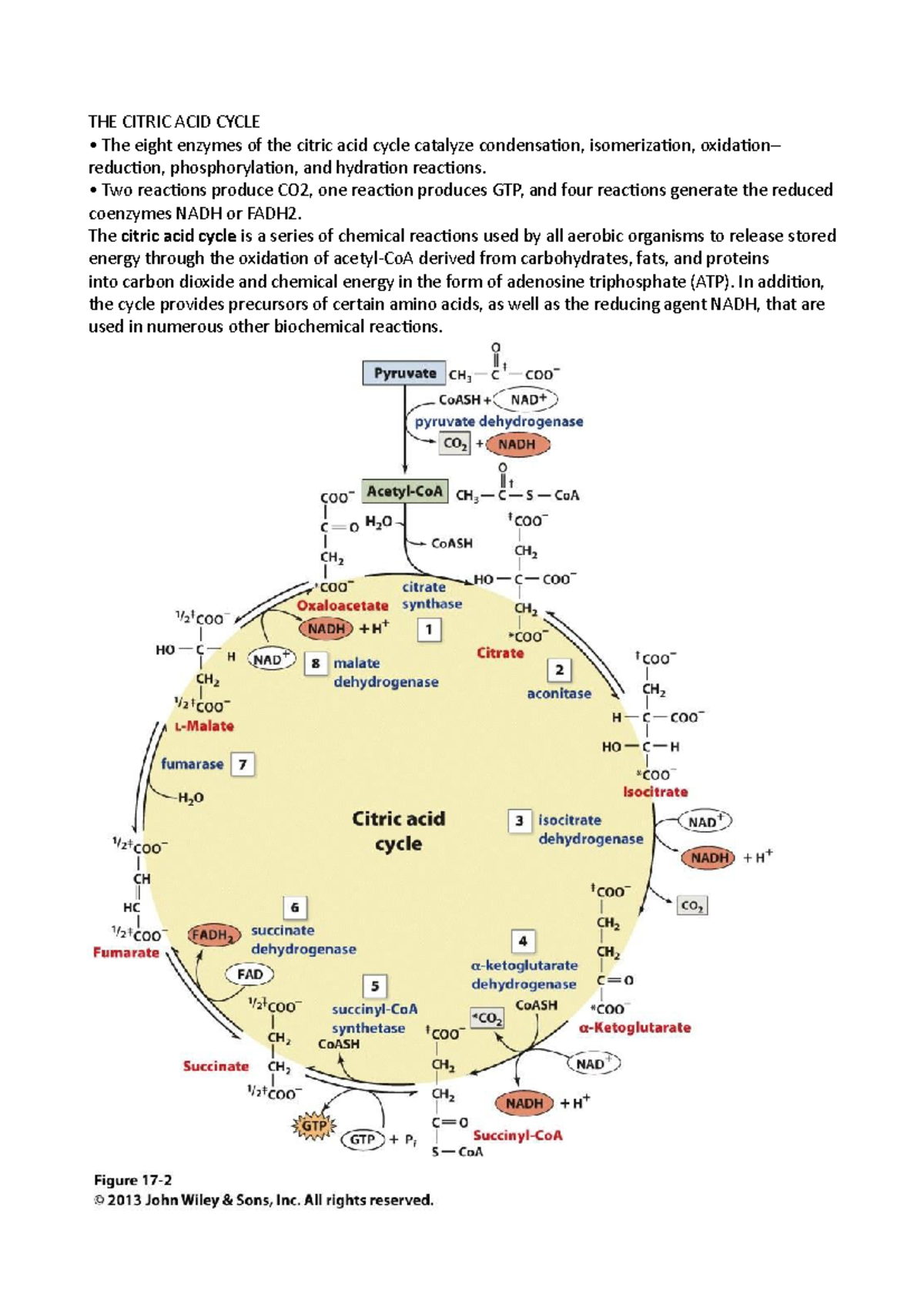 THE Citric ACID Cycle - Appunti di Biochimica integrati con libro Voet ...
