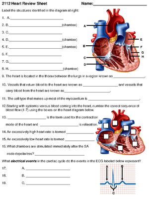 BIO 2312 Exam 2 Study Guide - BIO 2312 Exam 2 Study Guide Chapter 16 ...