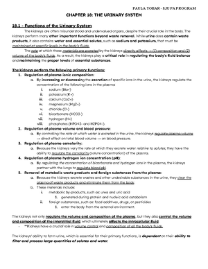 Chapter 19 - The Urinary Sytem Fluid and Electrolyte Balance (1 ...