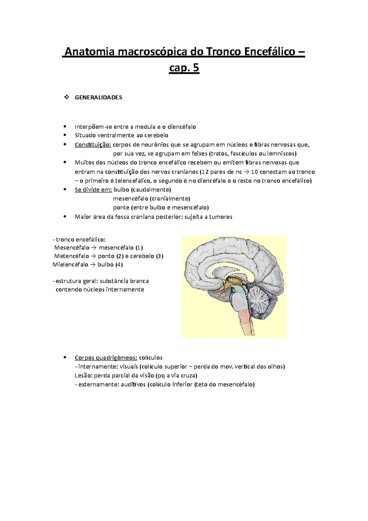 Resumo Cap 5 Prova Ii Anatomia Macroscópica Do Tronco Encefálico