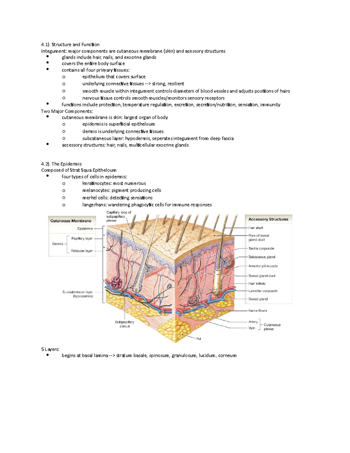 Unit 1 chpt 4:5 - Lecture notes unit 1 - 4). Structure and Function ...