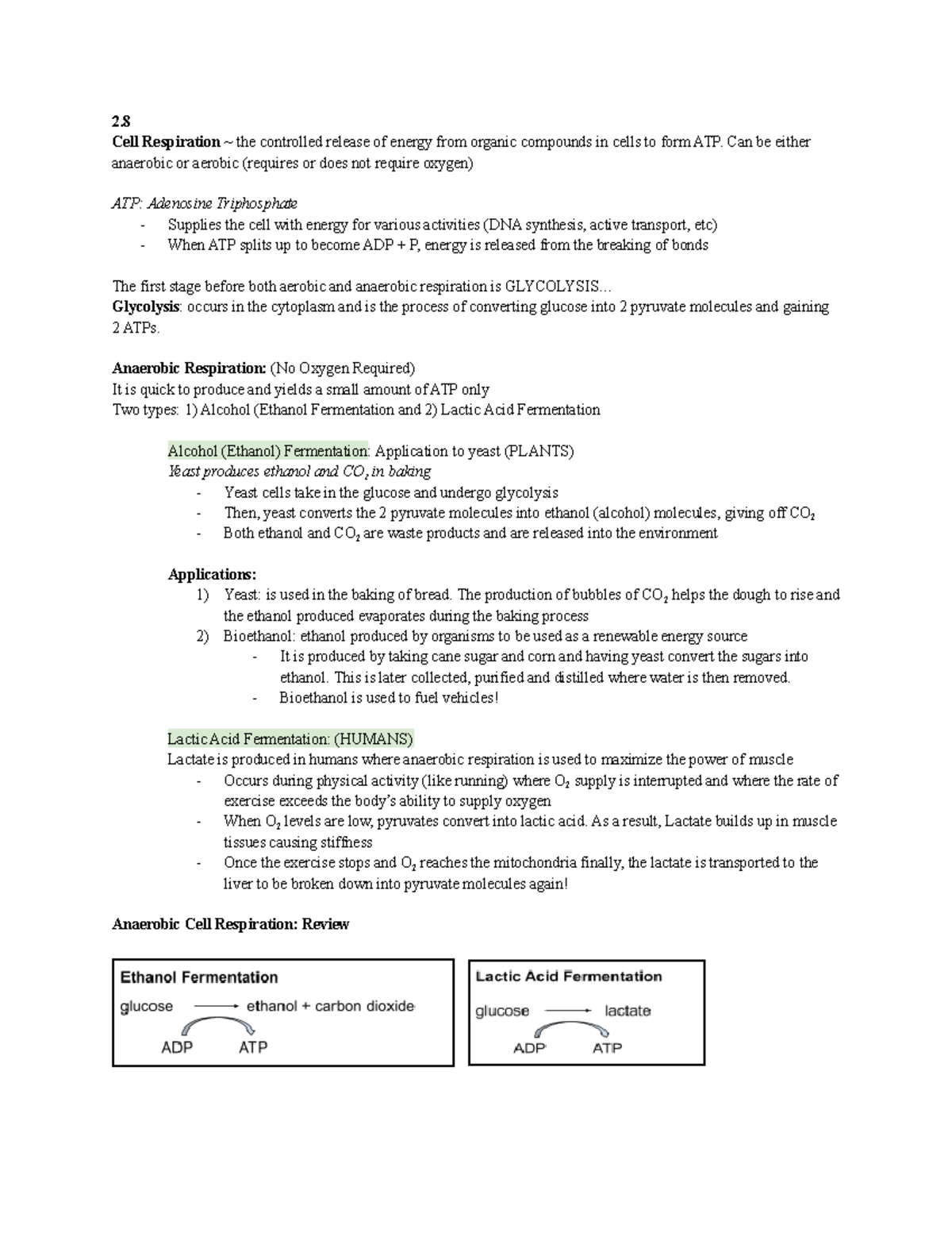 Topic 8 - Culminating Notes Summative - 2. Cell Respiration ~ the ...