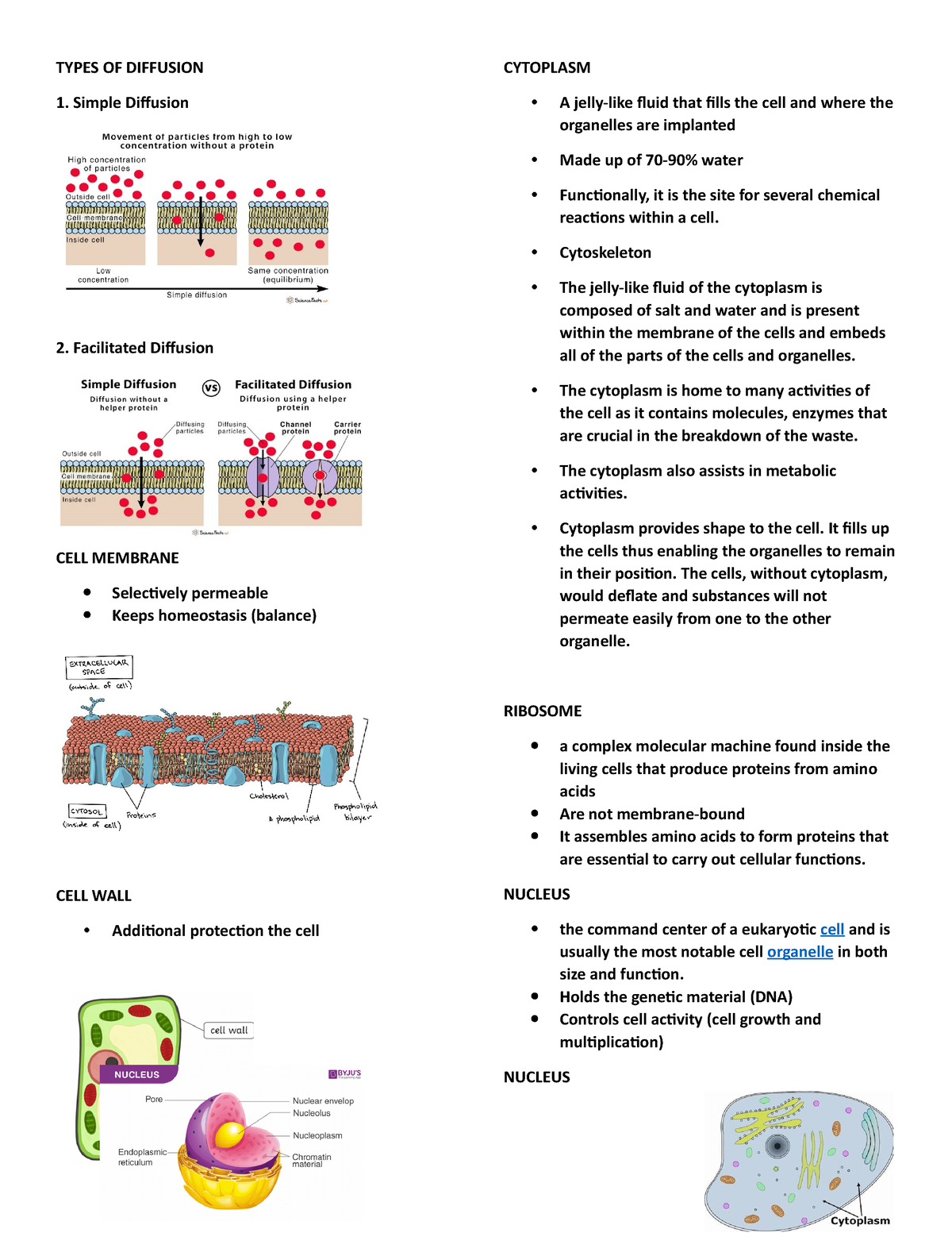 New-bot - botany - TYPES OF DIFFUSION Simple Diffusion Facilitated ...