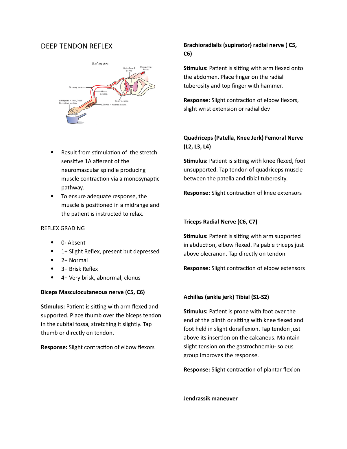 deep-tendon-reflex-deep-tendon-reflex-result-from-stimulation-of