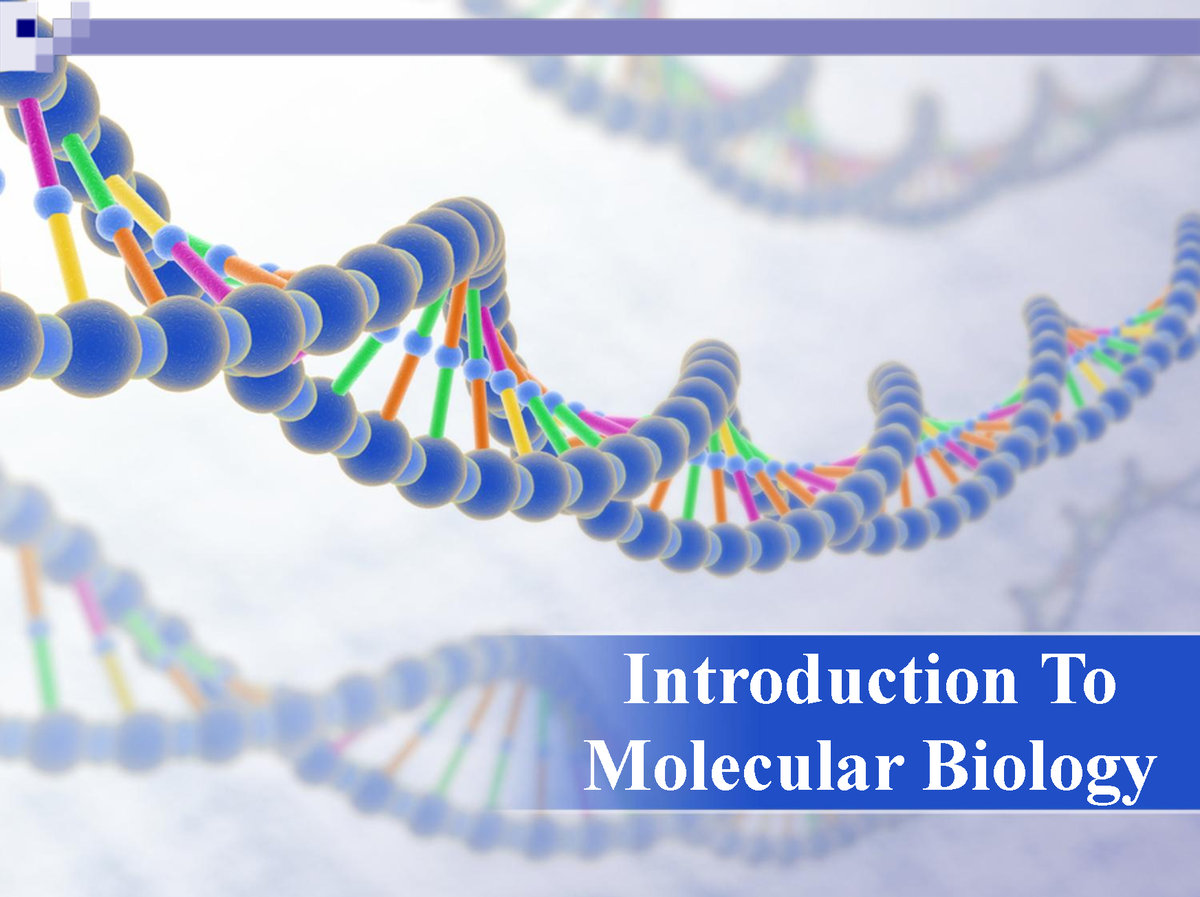 Introduction Of Molecular Biology - ASAS BIOLOGI MOLEKUL - UKM - Studocu