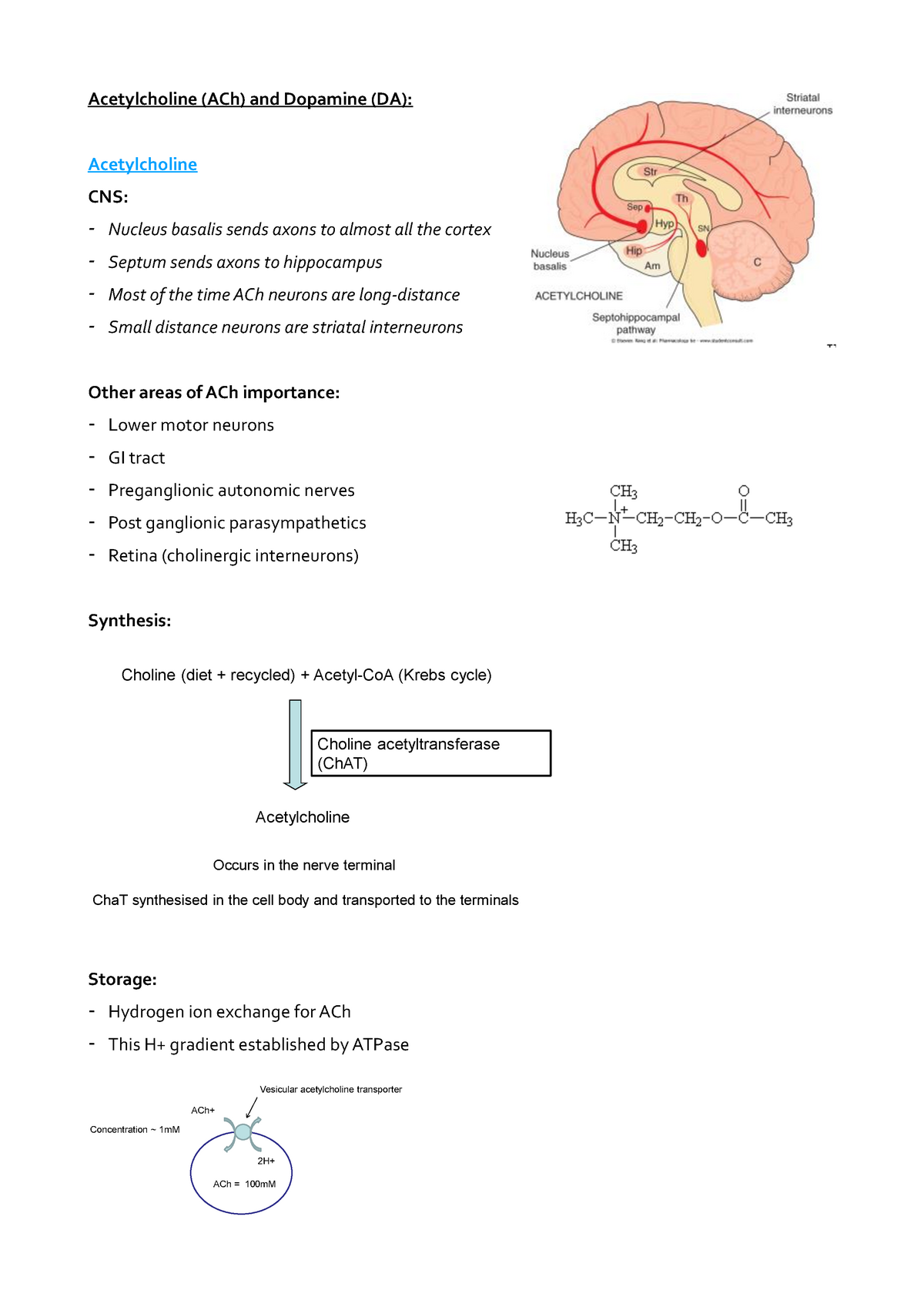 Ach And Dopamine Notes Acetylcholine Ach And Dopamine Da