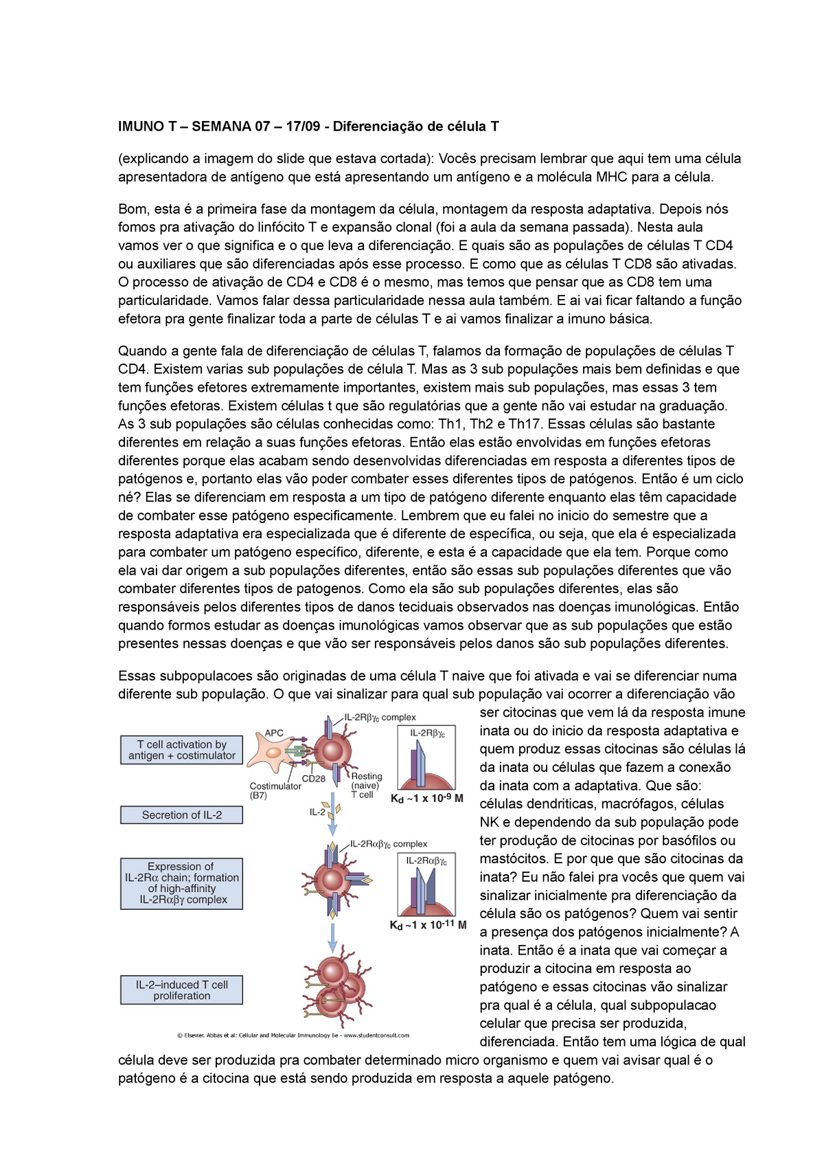 Imunologia Ativacao De Linfocitos Imuno T Semana Diferencia O De C Lula T