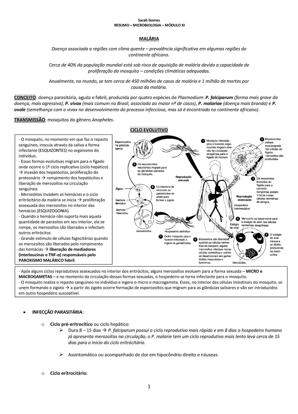 Microbiologia Mal Ria Sarah Gomes Resumo Microbiologia M Dulo Xi Mal Ria Doen A