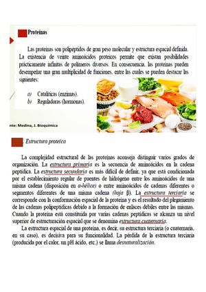 Bioquímica.INF 6, 8 - Identificación De Proteínas Y Aminoácidos ...