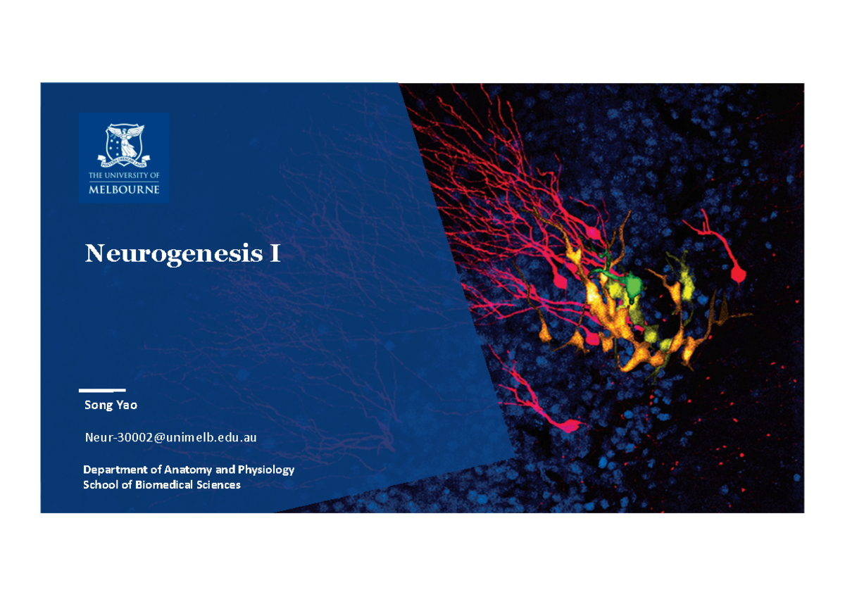 Neurogenesis I 2021 lecture notes - Department of Anatomy and ...