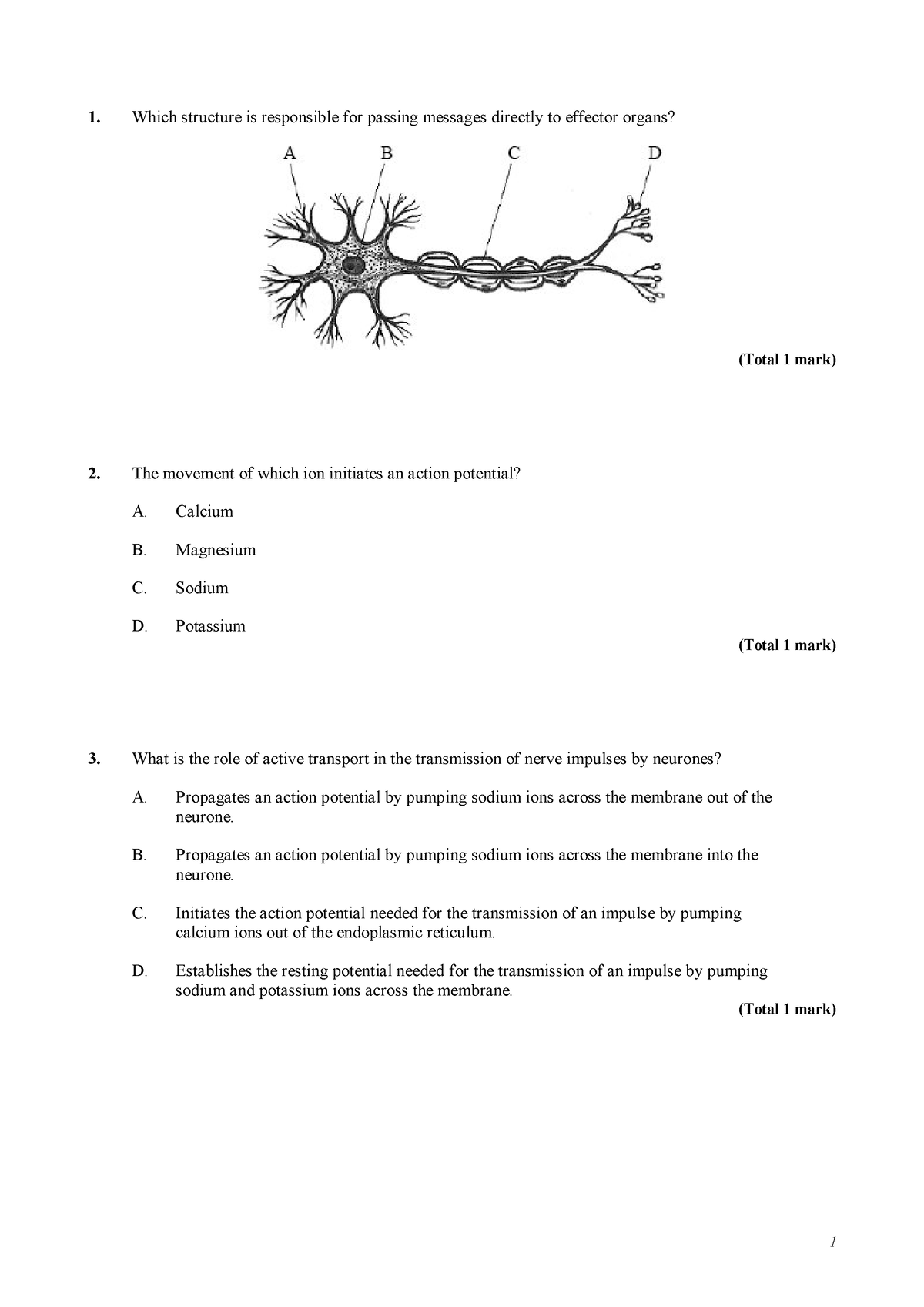 IB BIO Nervous System Ex (Q) - Which structure is responsible for ...