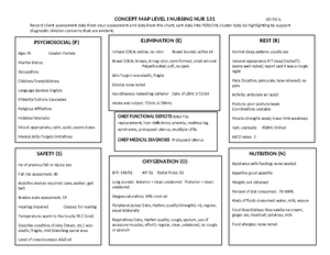Nursing Care Plan Homework - PSYCHOSOCIAL (P) Age: 93 Gender: Female ...