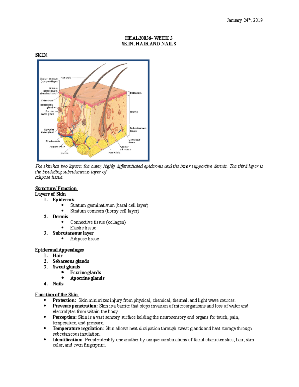 HEAL2003 6- WEEK 3 - Lecture notes 3 - HEAL20036- WEEK 3 SKIN, HAIR AND ...