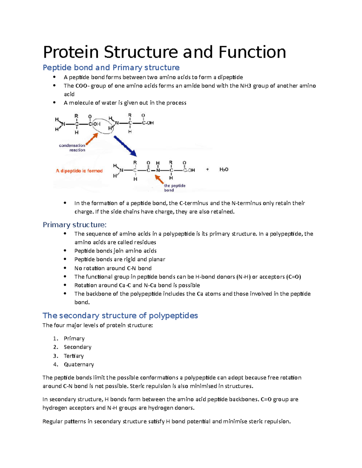 Protein Structure Part B - Protein Structure And Function Peptide Bond ...