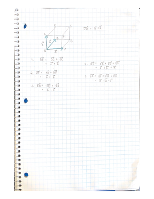 vectors unit assignment