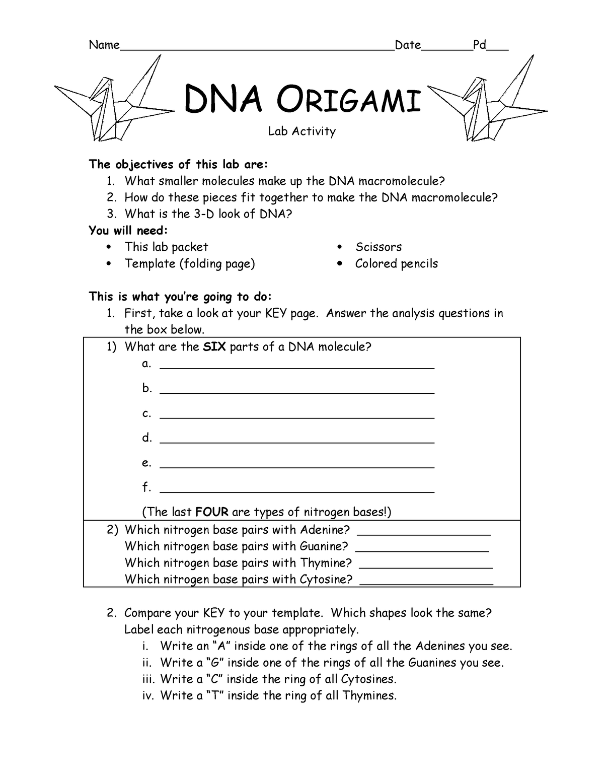 Dna Origami Student Worksheet - Name 