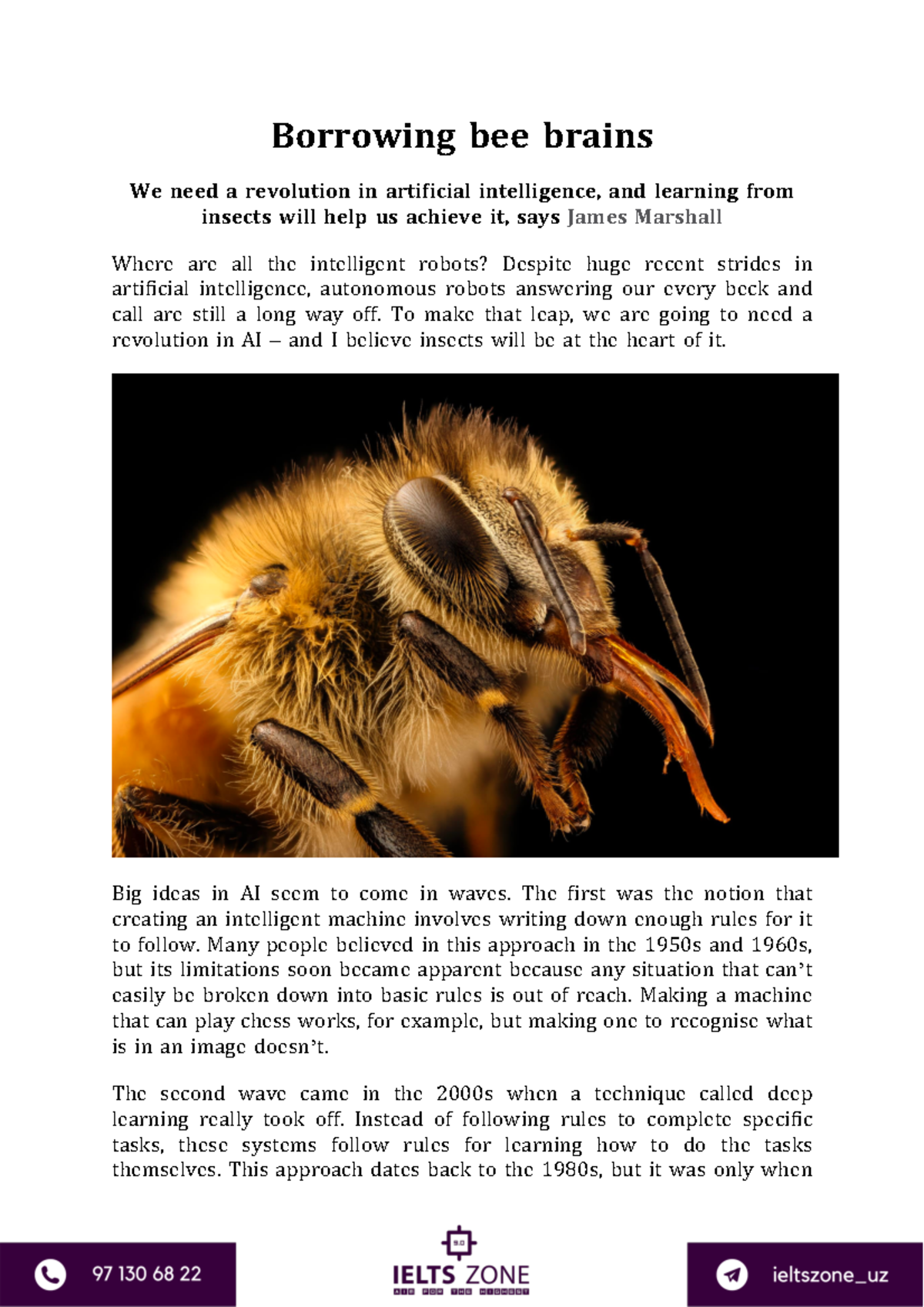 Borrowing bee brains - sees - Borrowing bee brains We need a revolution ...