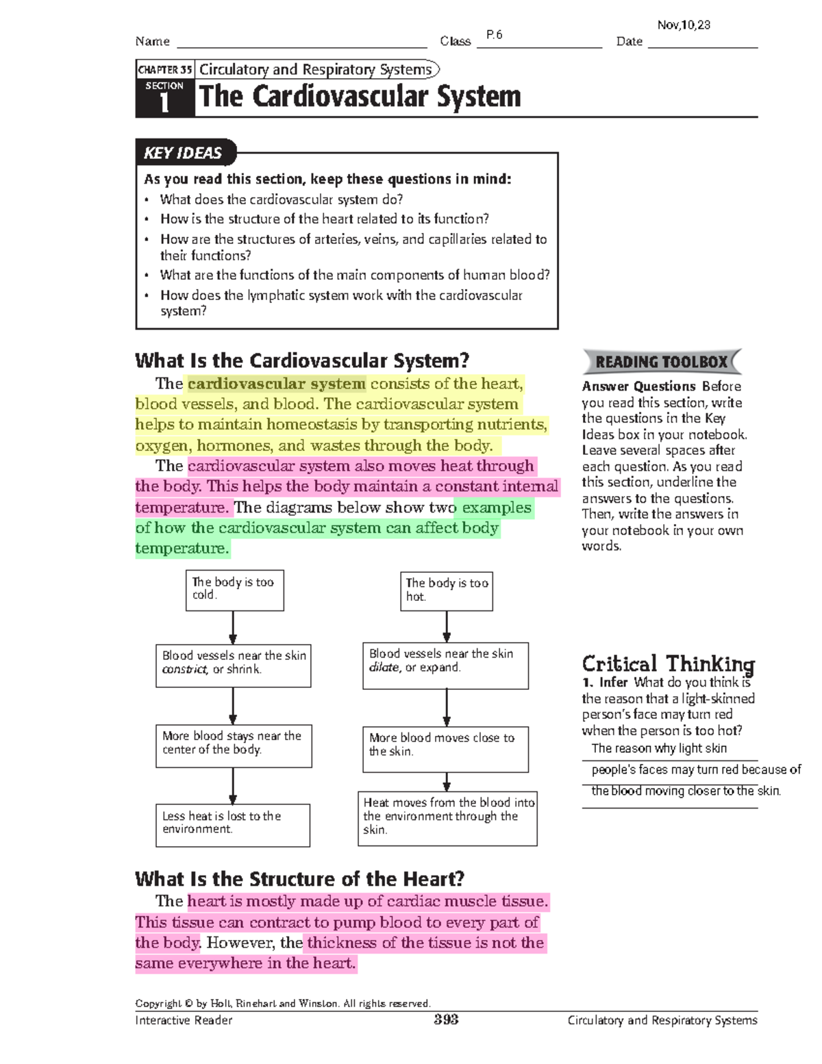 Kami Export - Human Body-2-Heart - SECTION 1 As you read this section ...